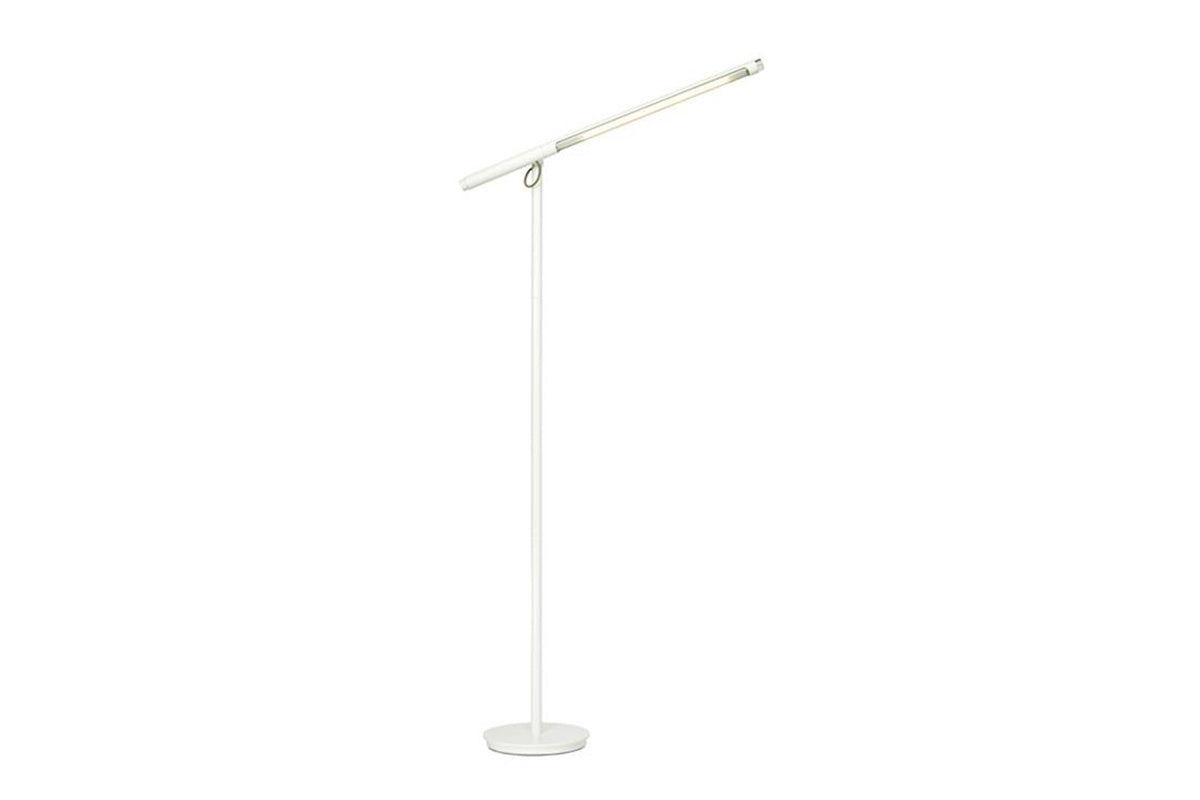 Brazo Floor Lamp