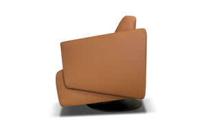 Freedom Swivel