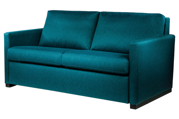 Pearson Comfort Sleeper