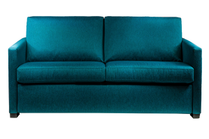 Pearson Comfort Sleeper