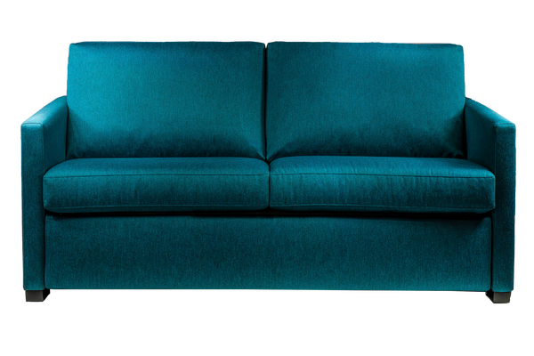 Pearson Comfort Sleeper