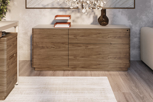 Luma 6720DU Multifunctional Cabinet