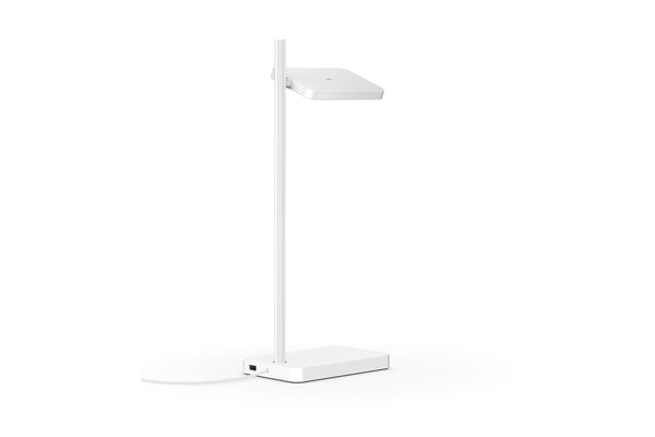 Talia Table Lamp
