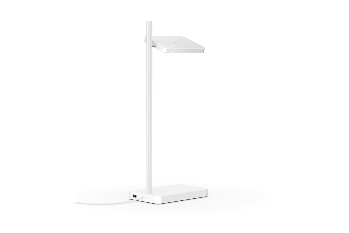 Talia Table Lamp