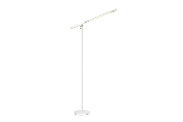 Brazo Floor Lamp