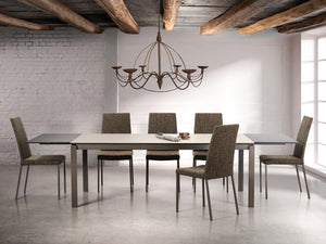 Muse Dining Chair