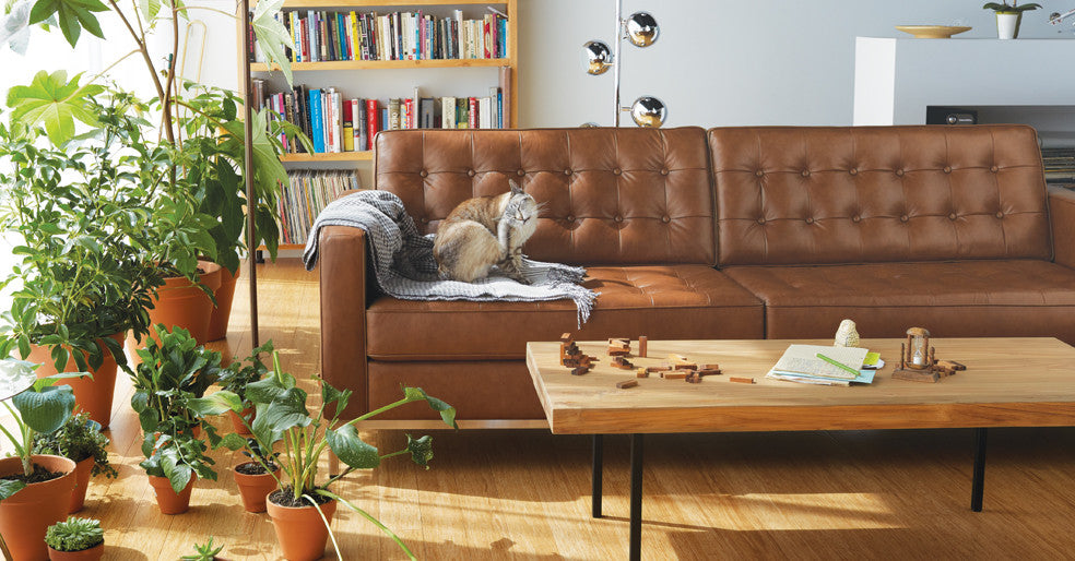 Reverie 2 Seat Leather Sofa