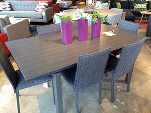 Vintage Zebra Dining Set